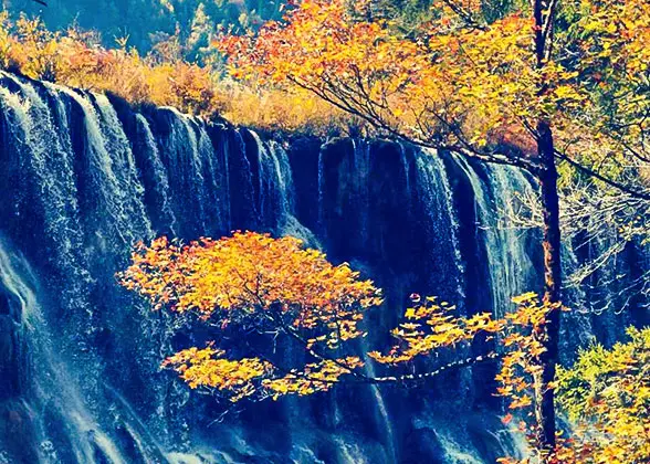 5 Days Private Tour of Chengdu - Huanglong - Jiuzhaigou