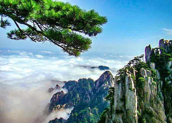 3 Days Huangshan Private Package — photo 2