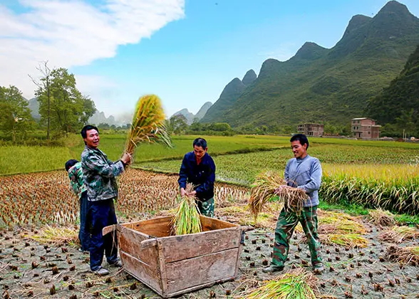 8 Days Private Tour of Guiyang - Kaili - Rongjiang - Congjiang - Zhaoxing - Sanjiang - Longsheng - Guilin - Yangshuo - Guilin — photo 5