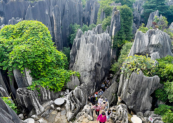 Stone Forest, Kunming